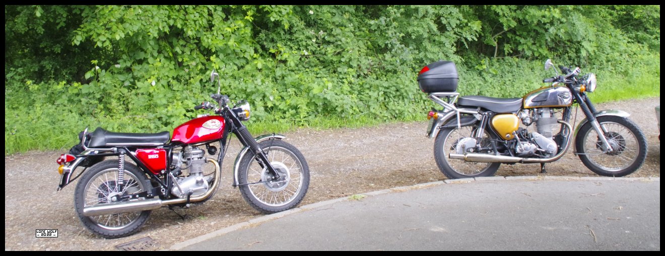 The Goldie and the Starfire at Shackerstone station.