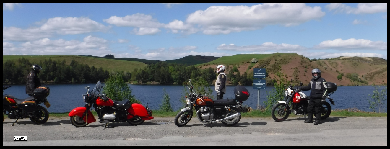 On the side of Llyn Clywedog