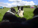 Let sleeping dogs lie.
