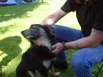 Looks like Roy and Kath were 'dog sitting' for the weekend.
