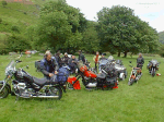 The field is infested with Moonshiners.............time for a spot of crop spraying I think.