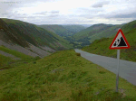 Never mind the rocks, watch out for the suicide sheep.