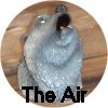 The element of AIR