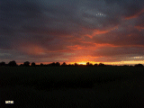What a grand ending to the day.